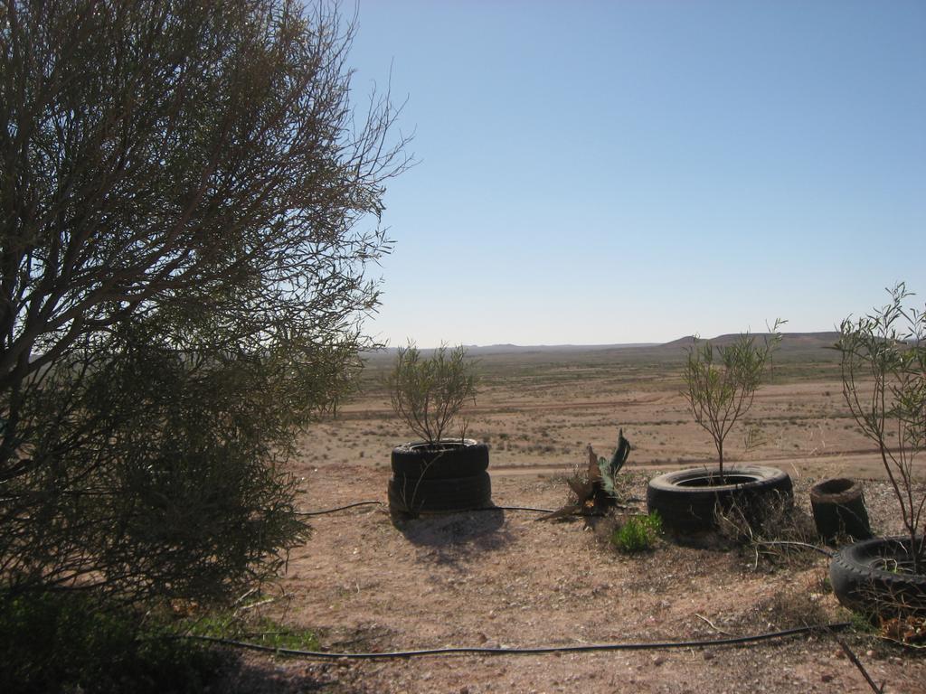 Venushill B+B Coober Pedy Exteriör bild